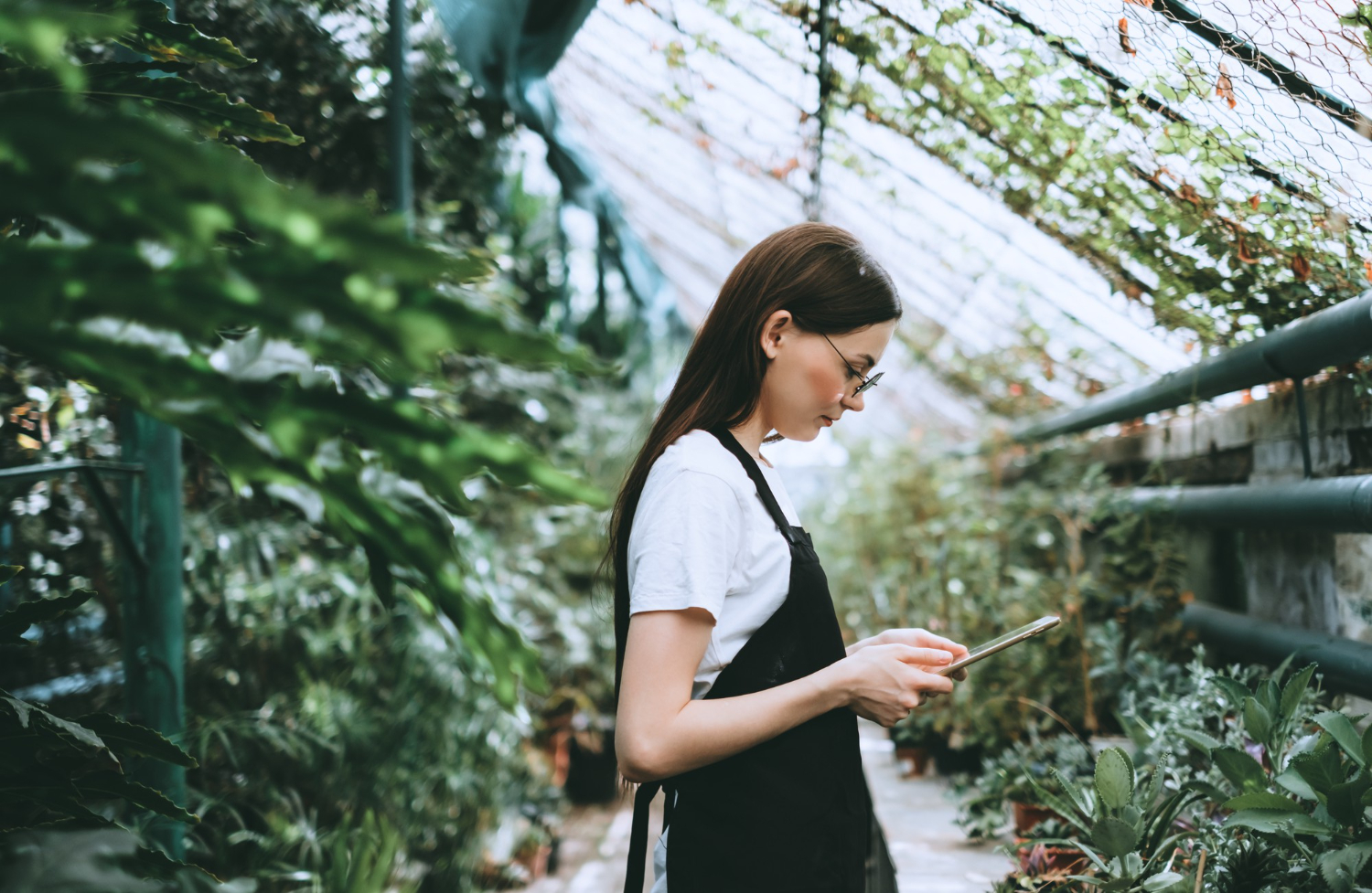 Eco-Tourism vs. Sustainable Travel